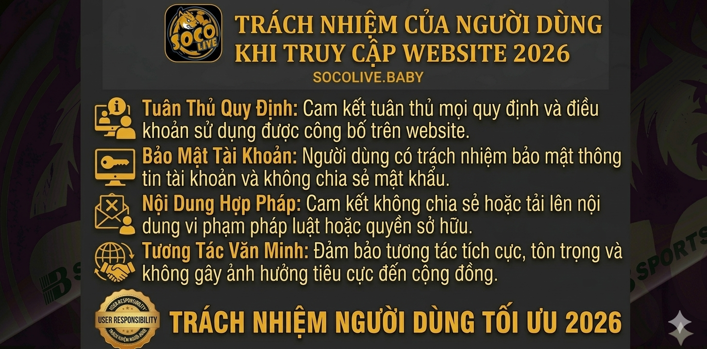 Trách nhiệm của người dùng khi truy cập website