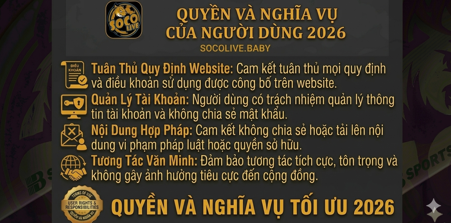 Quyền Và Nghĩa Vụ Của Người Dùng