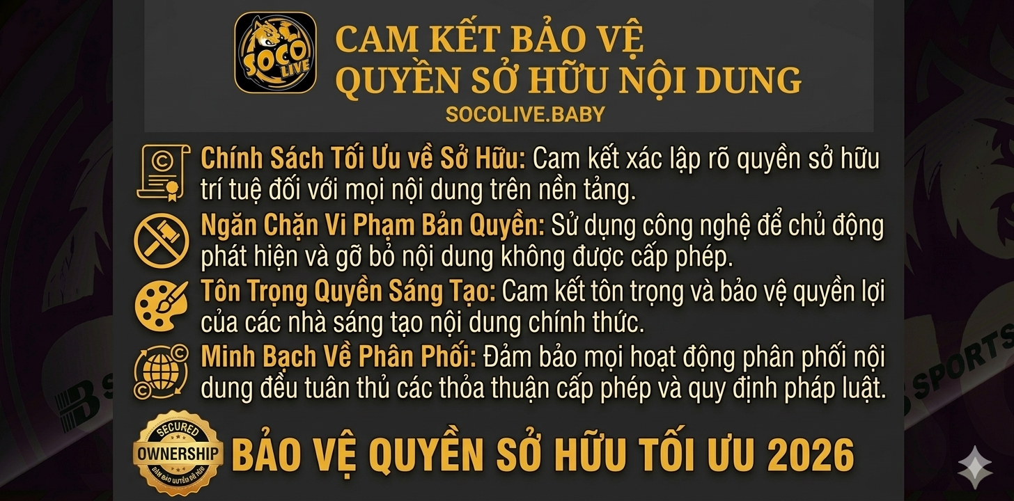 Cam kết bảo vệ quyền sở hữu nội dung
