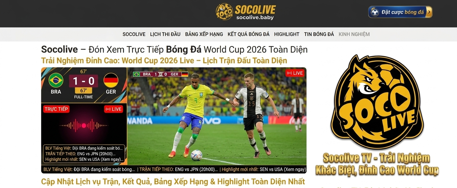 Tổng quan về Socolive